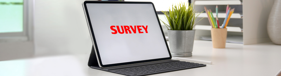 Online survey