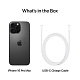 iPhone 16 Pro Max 256GB Black Titanium
