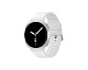 Samsung Galaxy Watch8 40mm LTE Silver